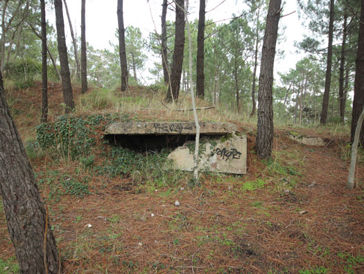 Gi09 Bon Anse 'Cosel' , M.K.B.Coubre-Ost, Batterie (South site).