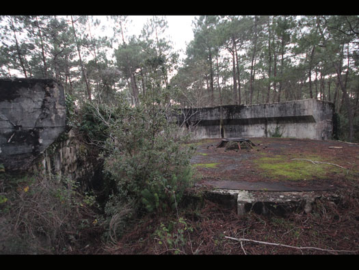 Site Survey — Emplacement Layout