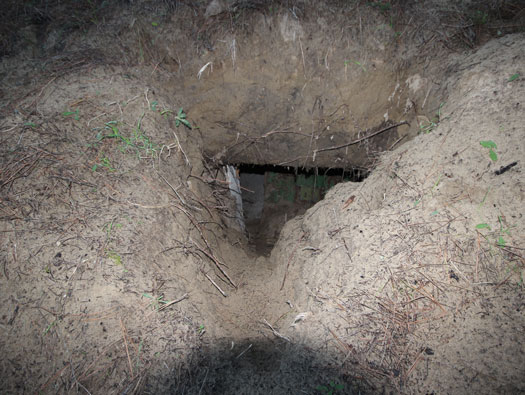 Issues with Amateur Excavation