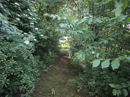 RAF Aston Down, Gloucester