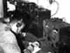 Wn63 Colleville-sur-Mer, PC of the 3./Gren.Rgt.726.