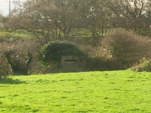Wn165 Cosqueville étang du Pelat