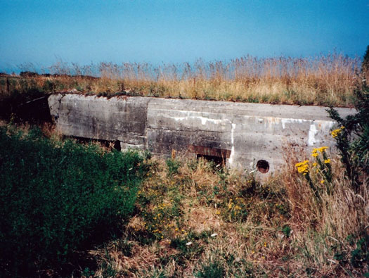 Stp 35 at Carolles, K.V.Gruppe Granville, Normandy