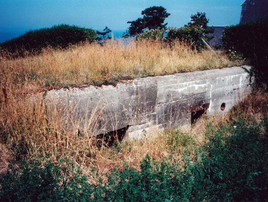 Stp 35 at Carolles, K.V.Gruppe Granville, Normandy