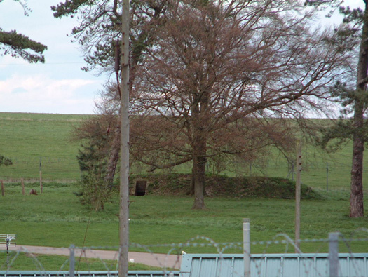 RAF New Zealand Farm Interior
