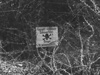 Mine fields.
