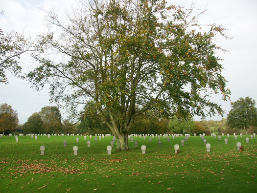 Deutscher Soldatenfriedhof 1939 - 1945 Orglandes