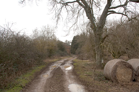 Bibury RLG