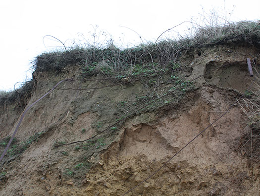 Wn60 Colleville-sur-Mer, (Omaha Beach)