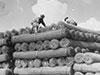 Sommerfeld matting in storage..