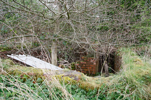 RAF Tholthorpe.