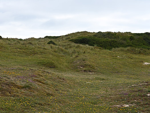 Wn333 St Remy des Landes Plage