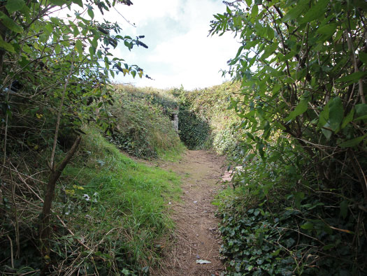 Alderney, M5 Wn 'Hafen-Süd'