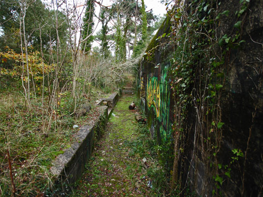 Gi09 Bon Anse 'Cosel' (North site)