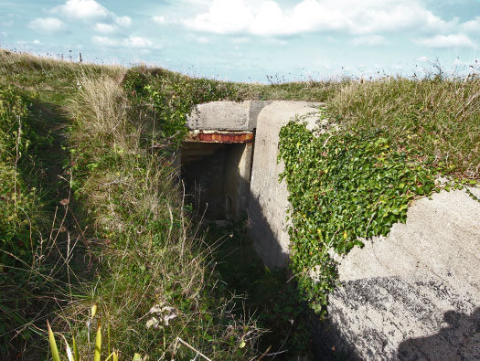 Alderney, M4 Wn 'Dohlenfest'