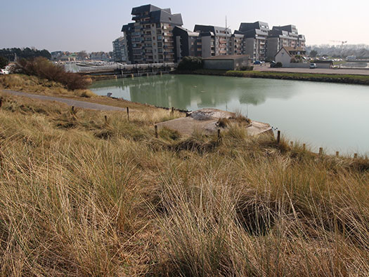 Stp31 Courseulles