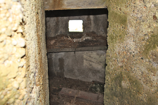 Wn307 Fort des Rochers du Var ou Fort St Martin.