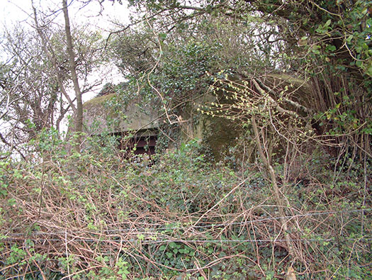 Batterie Digosville