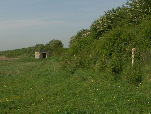 Wn99 Brévands le Châlet