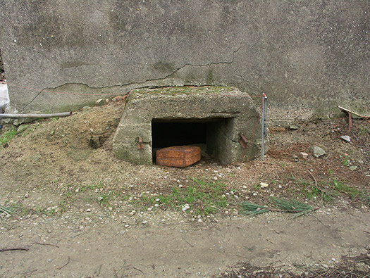 Battery Judee 'Ostmark',