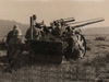 15.5cm.