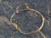 Barbed wire.