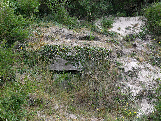Wn333 St Remy des Landes Plage