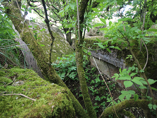 Wn140 Osnabrück, Mont de Couple est