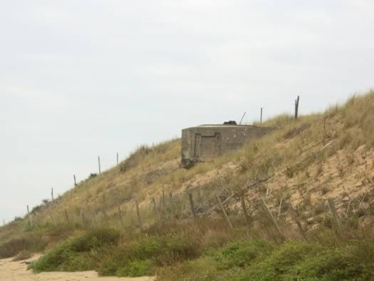 Ro425 ´Kora´, Ro429 'Korola', Ro424 'Käthe', Ile de Ré