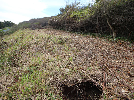 Wn65 St-Laurent-sur-Mer le Ruquet ouest