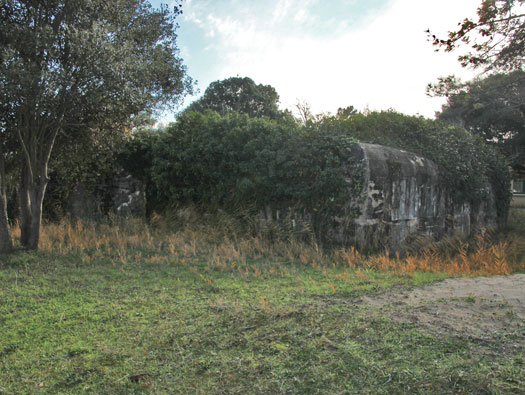 Gi308a Soulac Nord 'Darmstadt',
