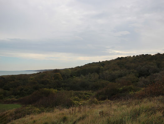 Wn64 St-Laurent-sur-Mer est
