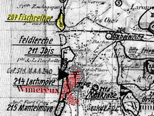 StP207 Fischreiher