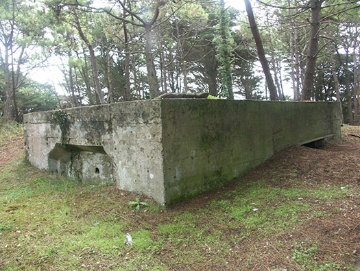 Va300 Plouharnel M.K.B.Hella E.673