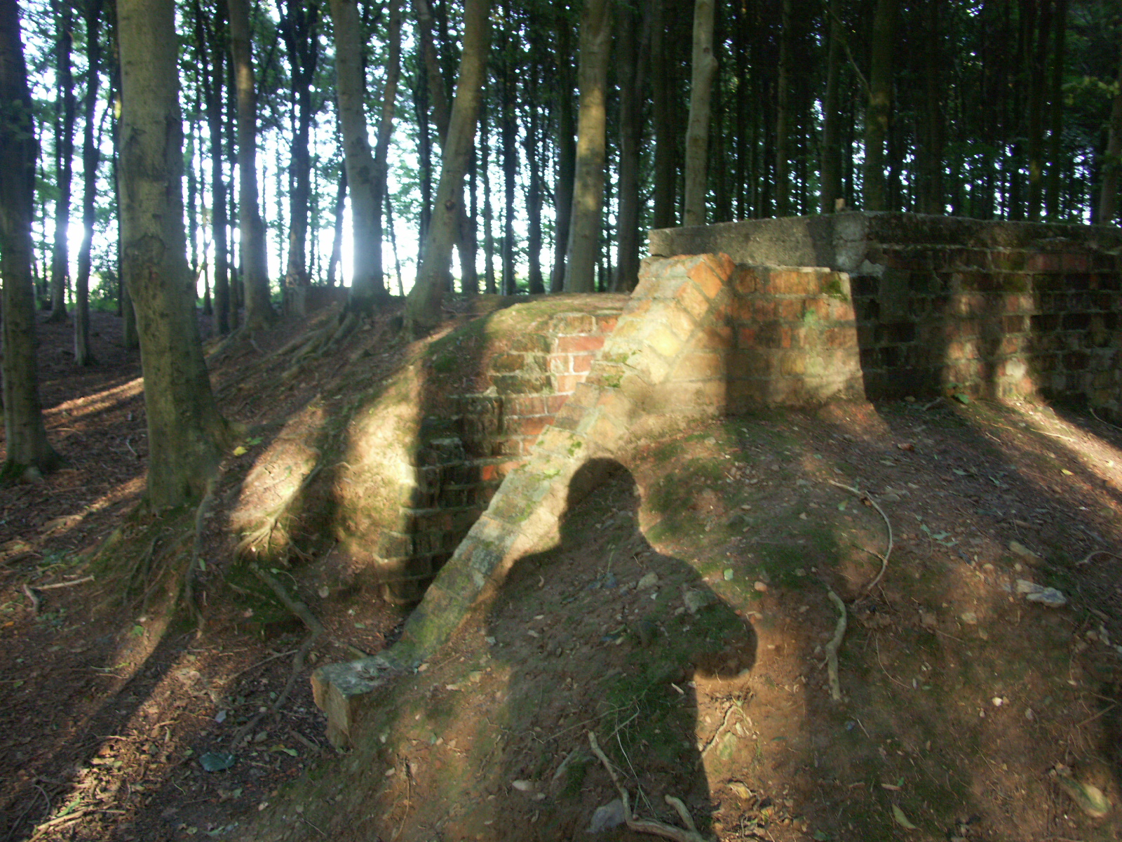 RAF Zeals