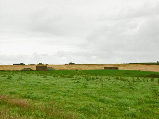 RNAS St Merryn, HMS Vulture