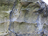 Close up of the camouflaged concrete.