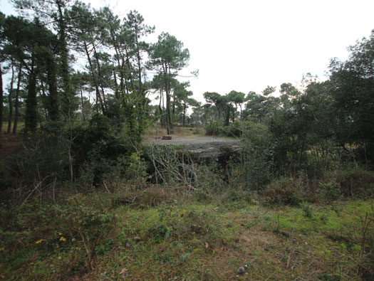 Gi09 Bon Anse 'Cosel' (North site)