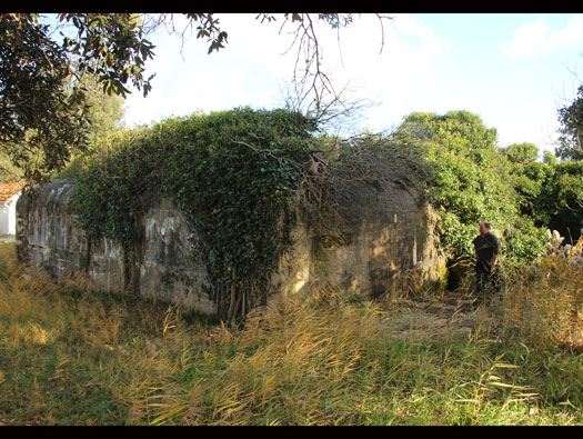 Gi308a Soulac Nord 'Darmstadt',