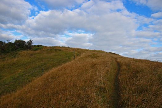 Wn59 Ste-Honorine-des-Pertes.