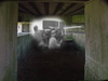 How it may have looked inside.