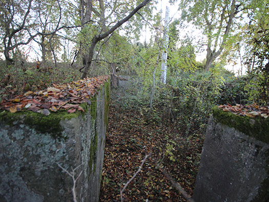 Führerhauptquartier ´Wolfsschlucht 2´ Flakstellung ´B´