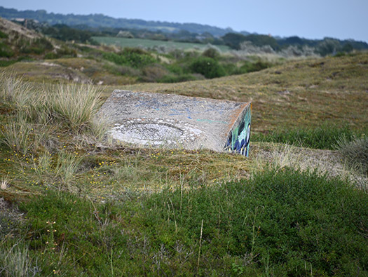 Wn333 St Remy des Landes Plage