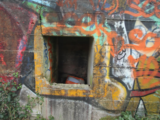 Gi09 Bon Anse 'Cosel' (North site)