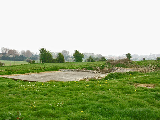 Die010 Mont Robin