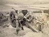 7.5cm F.K.231(f).