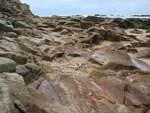 Tu41 Pointe du Bec