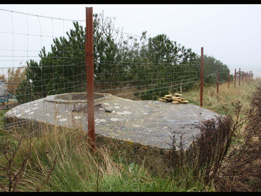 Wn77 Le Point du Hable