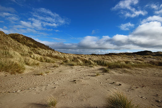 StP Berck Nord, Berck Bellevue H.K.B.