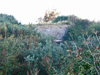 A closer image of the first R612 casemate. [An image from DPBelfra].